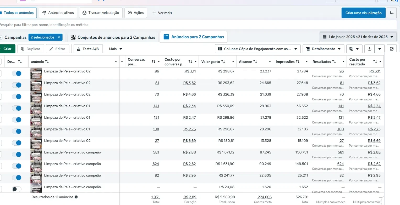Gerenciador de Anúncios: ano de 2025 fechado com 1.931 conversas e R$5.589 investidos